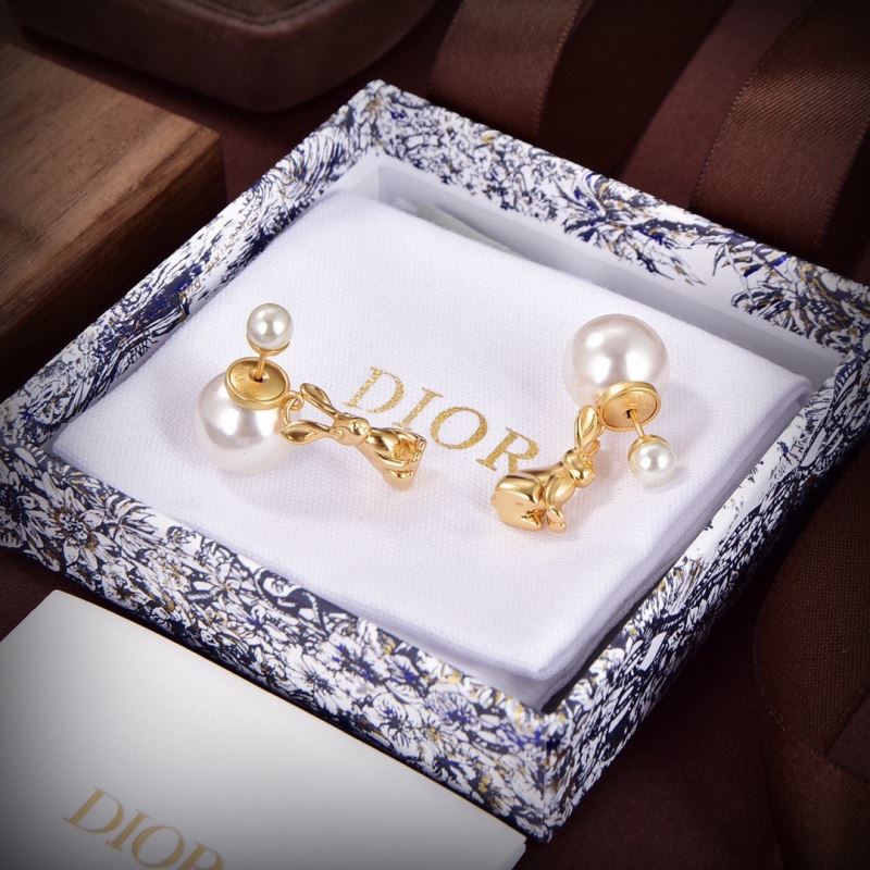 Christian Dior Earrings